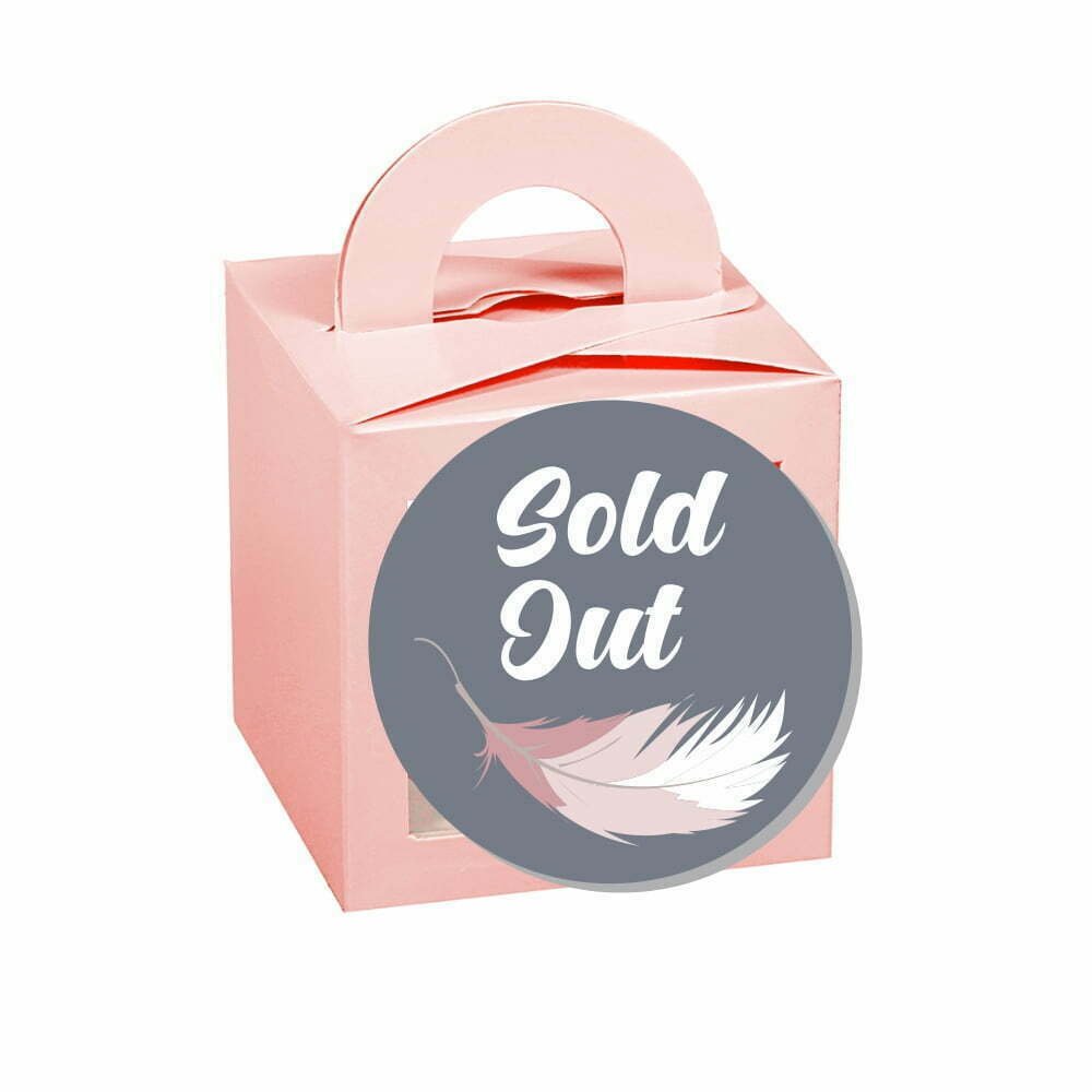 CUPCAKE BOX FOR 1 – PINK
